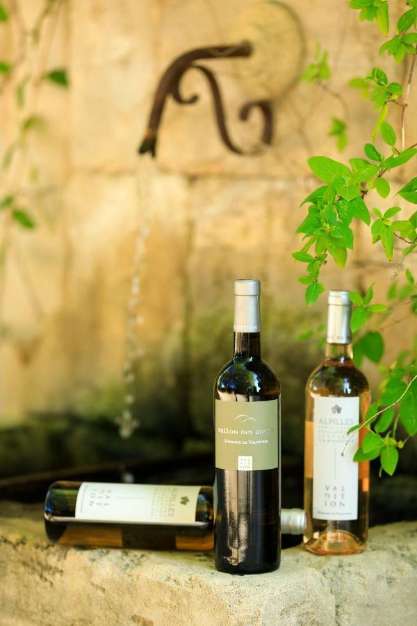 Hotel Mas Valentine Saint-Remy-de-Provence Ngoại thất bức ảnh